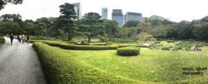 Imperial Gardens Tokyo