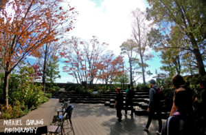 roof deck tokyu plaza