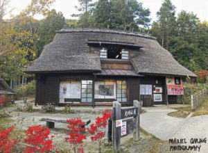 Traditional Japanese house