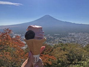 grape ice cream