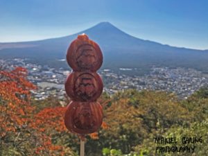 Tanuki Dumpling