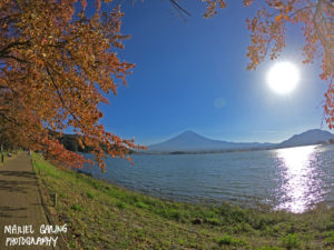 mt. fuji