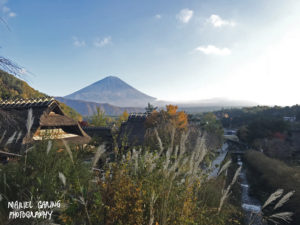 Japanese village