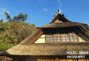 thatched roof