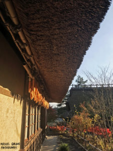 thick thatched roof